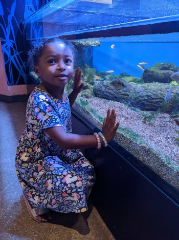 LVCC - Program Enrichment Fund - Aquarium